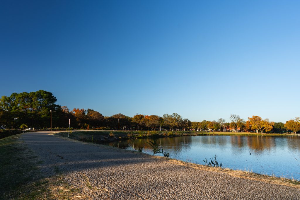 Bachman Lake & Love Field Area Planning