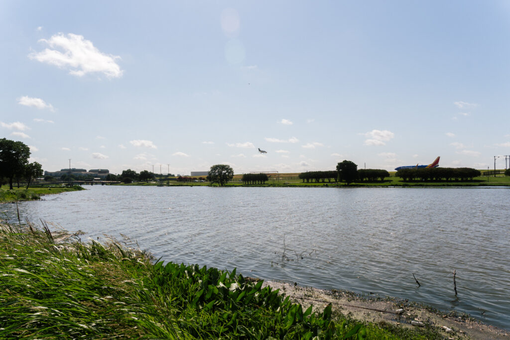 City of Dallas to begin dredging of Bachman Lake